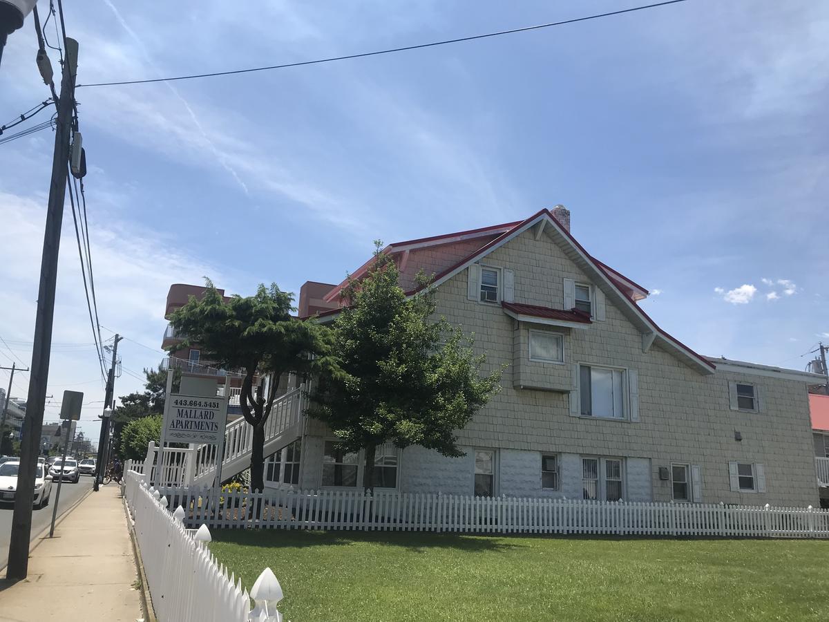 Mallard Apartments Ocean City Buitenkant foto